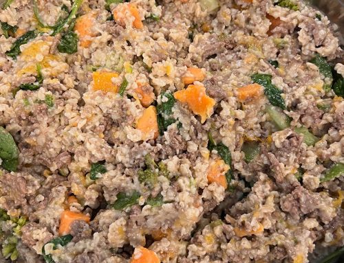 Home cooking for your pet: Part 1
